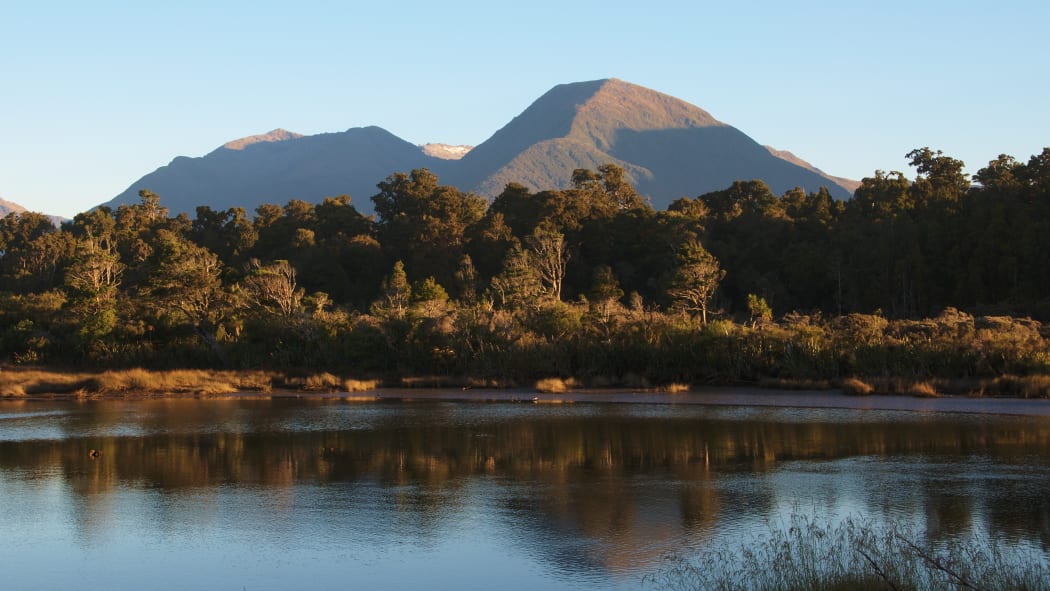 Hapuka river estuary, West Coast.