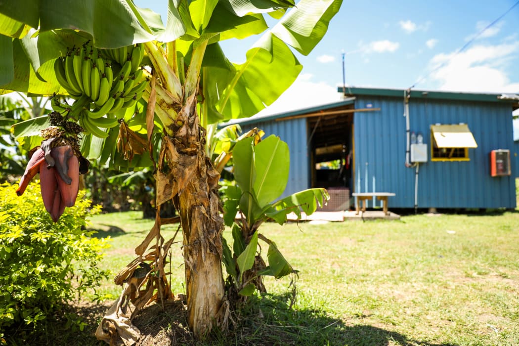 Residents are encouraged to grow their own food in gardens by their houses including bananas, pawpaw, and eggplant
