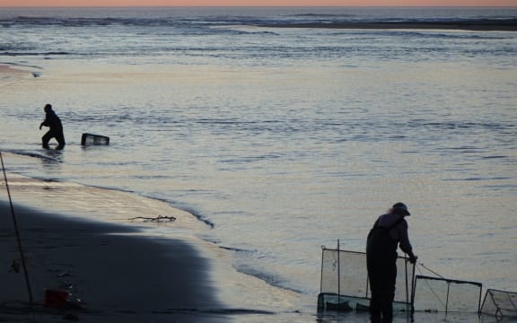 Whitebaiters at the mouth of the Waimakariri River north of Christchurch ignore warnings to stay out of the water after the massive earthquake in Chile.