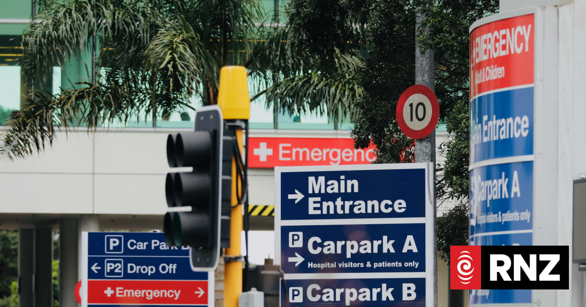 Auckland Hospital's near-constant overcrowding putting patients at risk, doctor says
