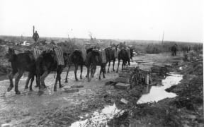 Packing ammunition to guns.