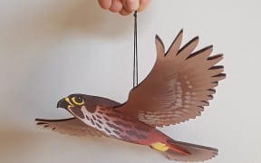 Kārearea NZ falcon flap! toy