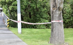 Police have cordoned off an area on Henderson's Edsel Street after a man was located with serious injuries on 26 November 2025. Police are on scene trying to find the offender.