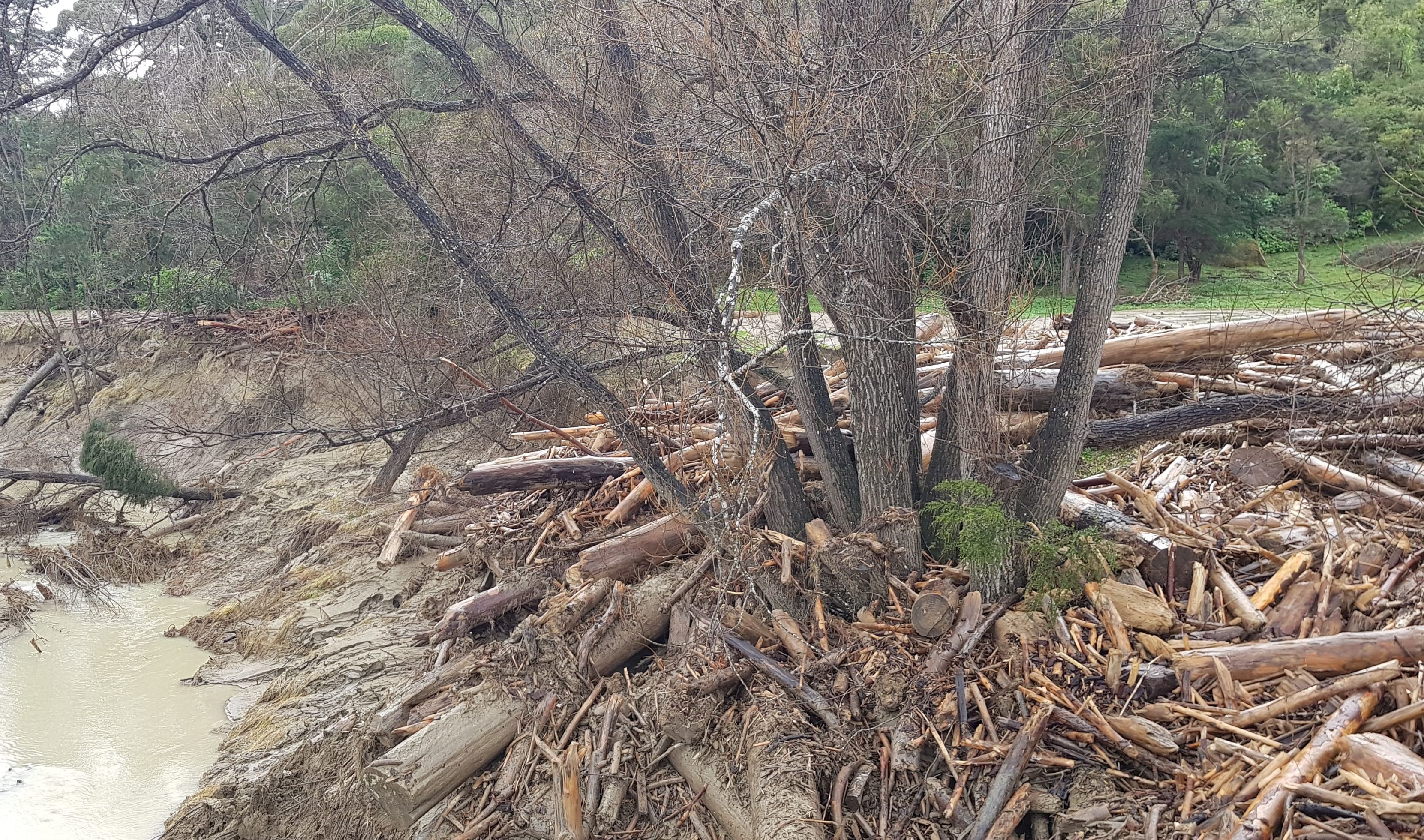 Slash debris after flooding in Tolaga Bay.