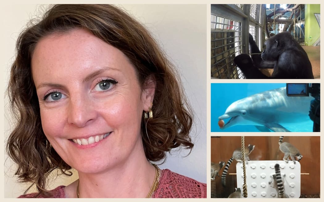 Composite image of Fay Clark and various animal games.