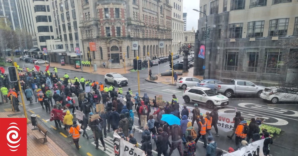 Counter-protesters outnumber demonstrators at Parliament - Vimarsana News