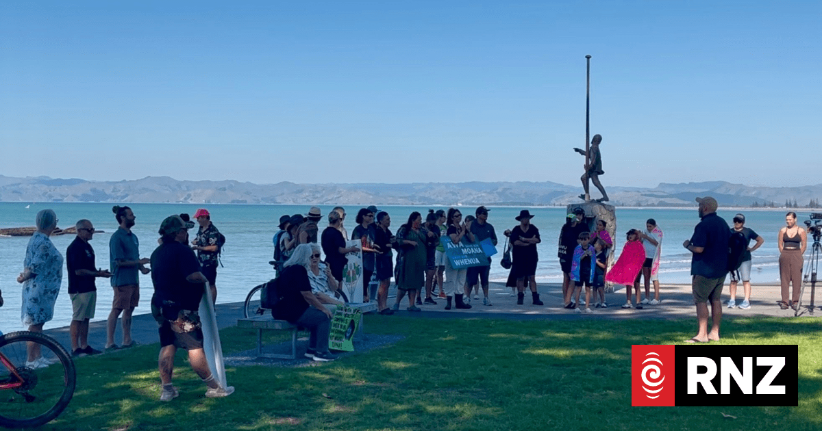 Gisborne District Council urged to stop 'appeasing' forestry industry