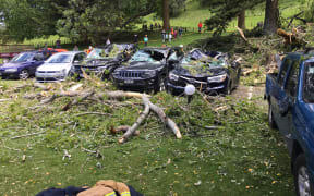 Cars were crushed at Auckland's Cornwall Park after a tree fell on them.