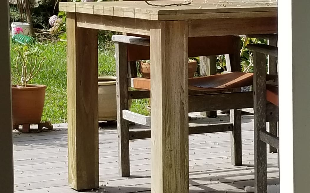 The view of Louise's Auckland Garden