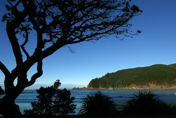 Robin Hood Bay, near the entrance to Te Whanganui/Port Underwood