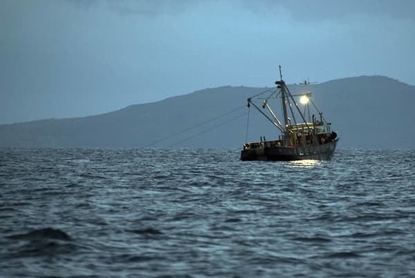 A boat dredges for Bluff oysters.
