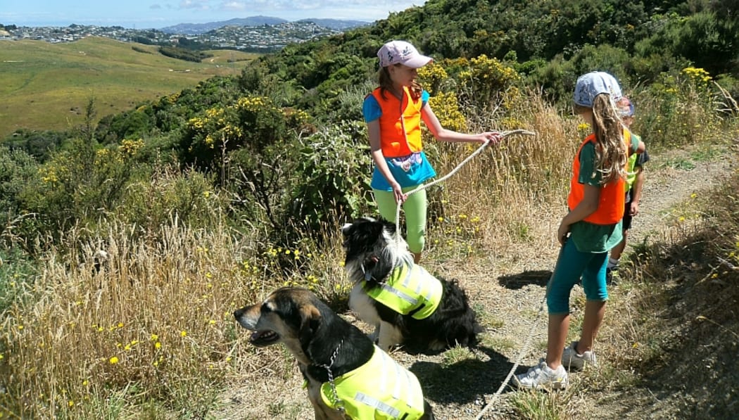Children and dogs.