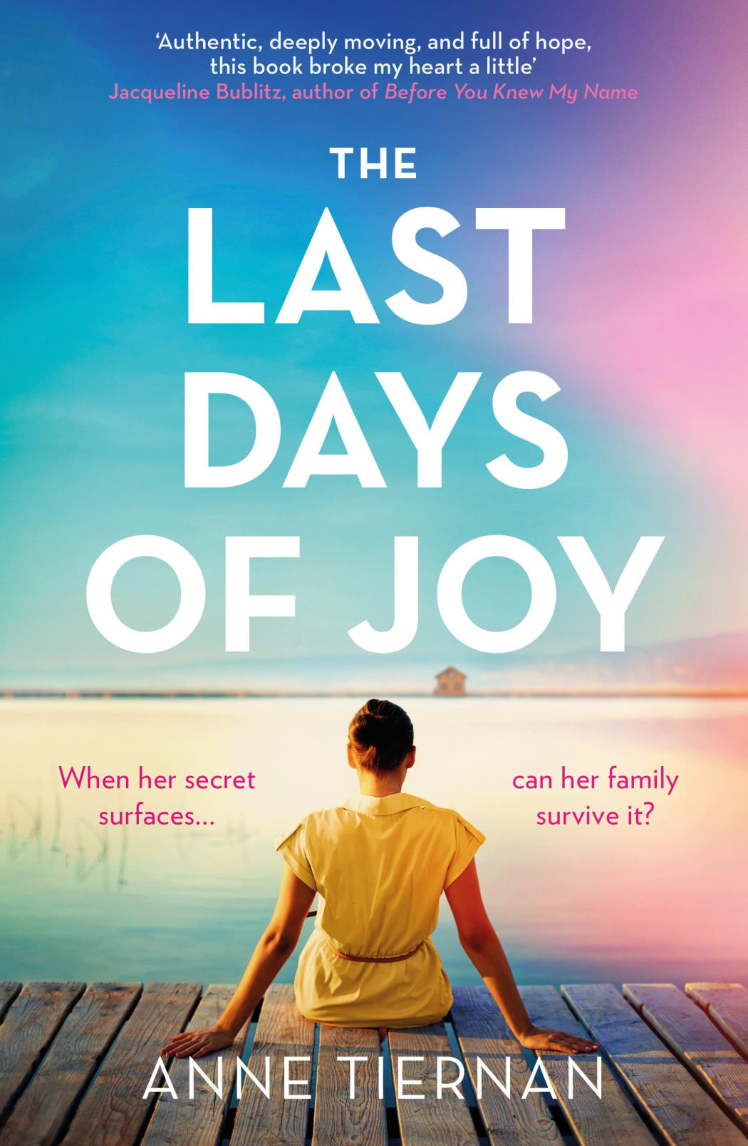 The Last Days of Joy book cover