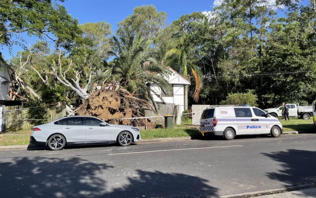 A powerful storm felled trees and brought down powerlines across Brisbane on Thursday. (ABC News: Ned Hammond)