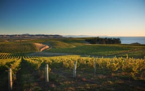 300414. Photo supplied. Yealands Family Wines wins ‘Green Company of the Year’ in leading global sustainability awards.