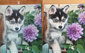 The two husky puppy puzzles, one with a missing piece and one with an extra piece.