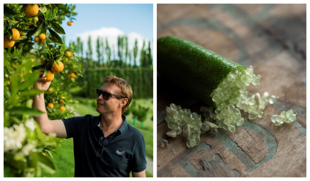 Matt Carter from Hill Road Orchard, known for it's orange juice and finger limes.