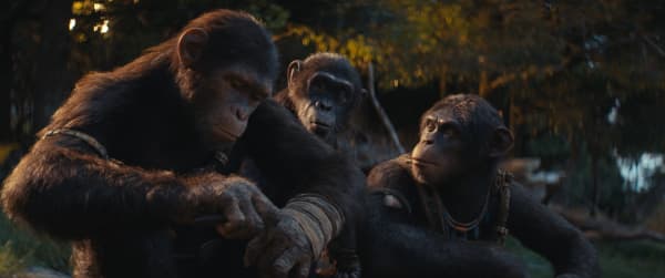 Wētā FX digitally created ape characters and environments on Kingdom of the Planet of the Apes.