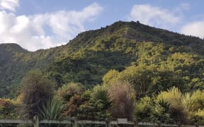 Waikereru Ecosanctuary near Gisborne includes regenerating forest on steep hillsides, and was set up by Dame Anne and Jeremy Salmond.