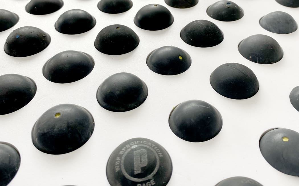 Devoted is a portrait of Dame Susan Devoy completed by artist Tim Christie, which is on show at Kelburn Squash Club.