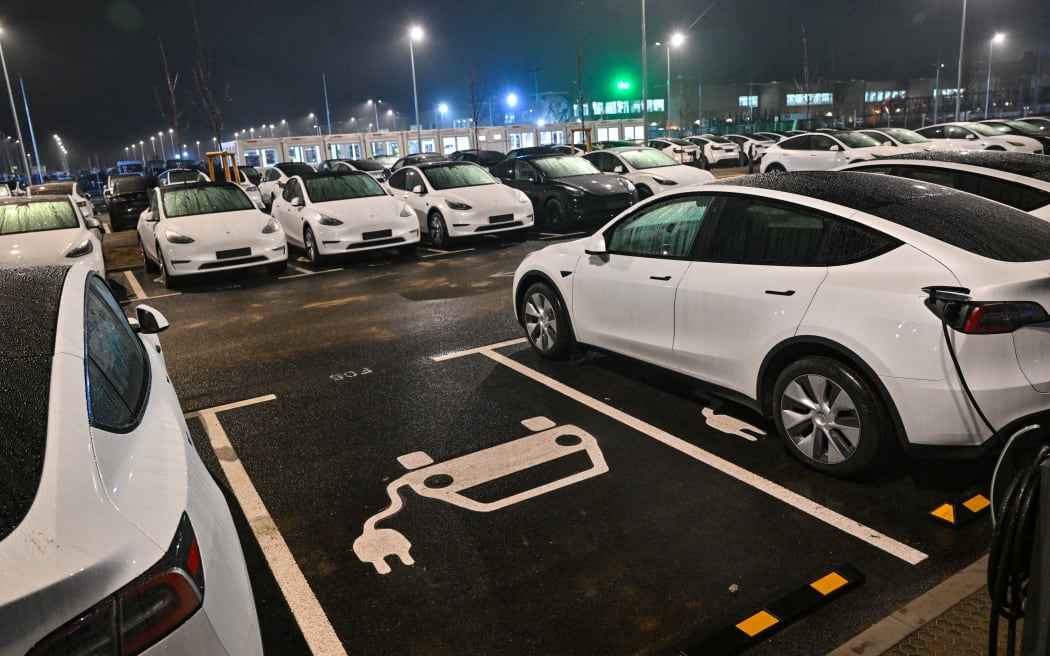 Model Y electric vehicles are parked in the early morning in a parking lot outside the plant of the US electric car manufacturer Tesla.