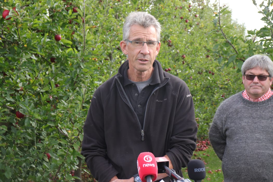 Bruce Mitchell says there just aren't enough workers to harvest his apples for export.