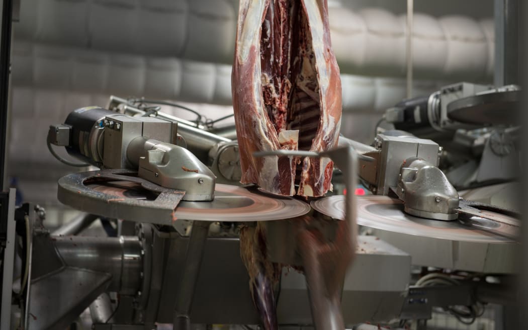 A carcass being processed through Scott Technology equipment.