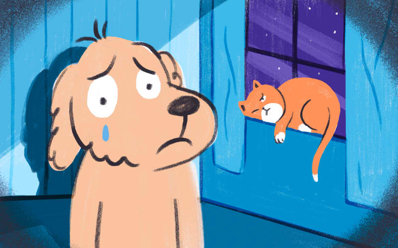 Cartoon of scared dog and sleepy grumpy cat