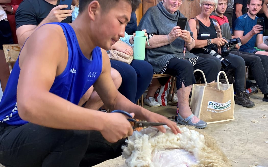Budee demonstrates how to shear with scissors at the Shear for A Cause event in West Otago in early February