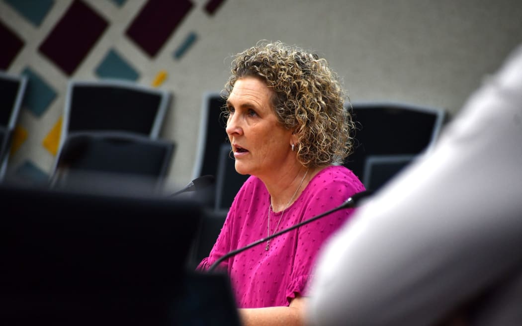 An image of Nicola Brewer speaking at a council meeting wearing a pink shirt.
