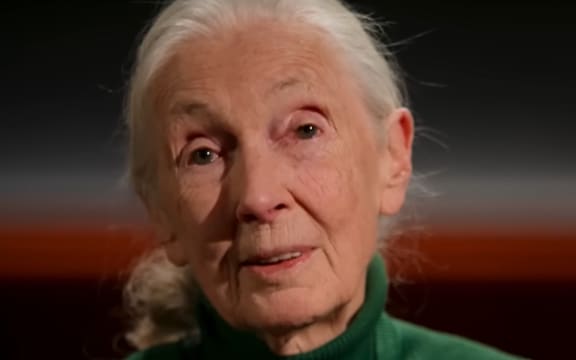 Dr Jane Goodall
