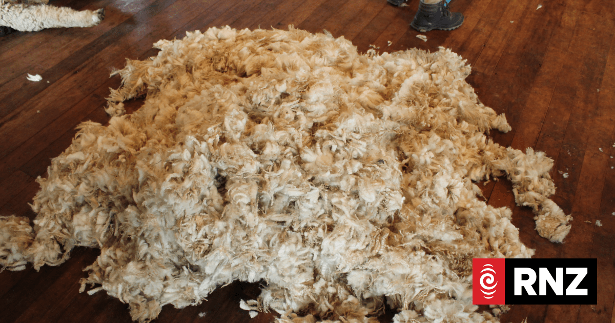 Taking dag wool and turning it into a business! | RNZ