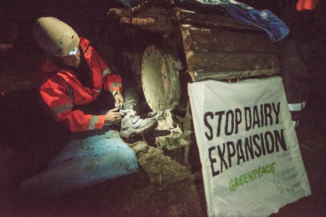 Greenpeace activists chain themselves to machinery in protest at a dairy farm expansion in the Mackenzie region.