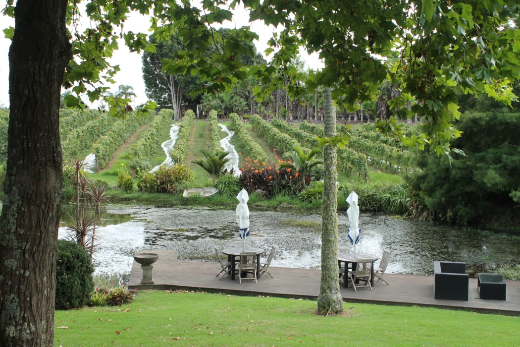 Marsden Estate, Northland