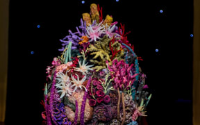 Dutch artist Saar Snoek took out the Aotearoa Section award with 'Human Nature'