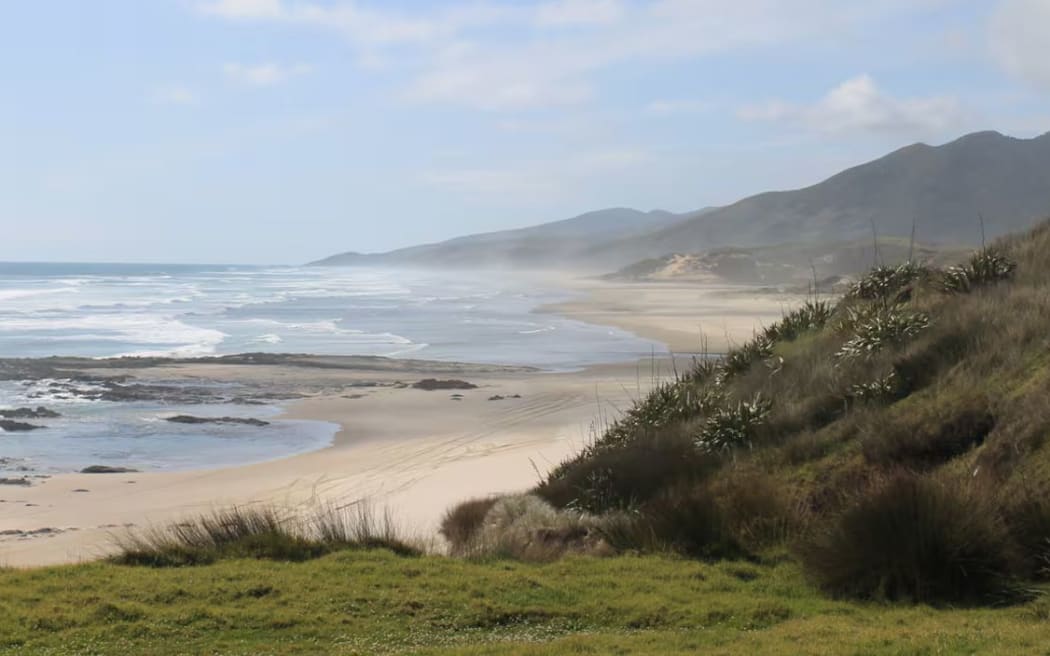 Mitimiti Beach on Northland's west coast.
