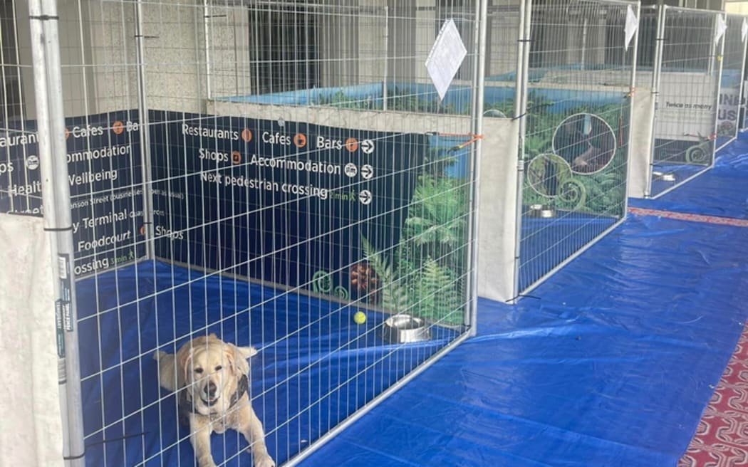 Animal shelter at Hastings racecourse
