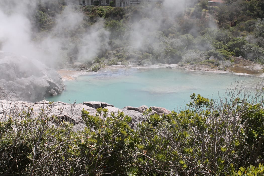 Te Puia, Whakarewarewa thermal valley