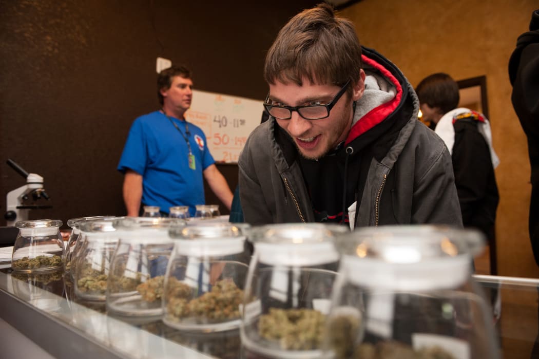 Tyler Williams selects marijuana strains to purchase at a Colorado dispensary on January 1, 2014 - the first day licensed retailers could legally sell cannabis.