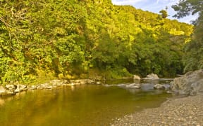 Kaitoke Regional Park.