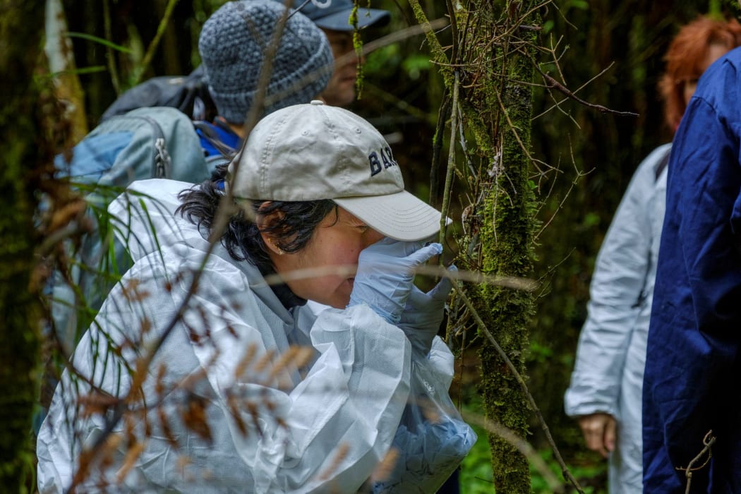 Dr Mahajabeen Padamsee is the manager of the Beyond Myrtle Rust programme at Manaaki Whenua Landcare Research.