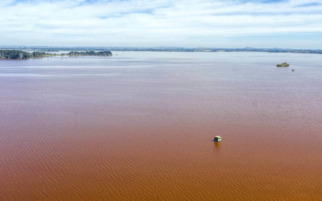 Cyanobacteria – or blue-green algae – which can produce dangerous toxins, thrives at Lake Waikare. The polluted water drains into Whangamarino.