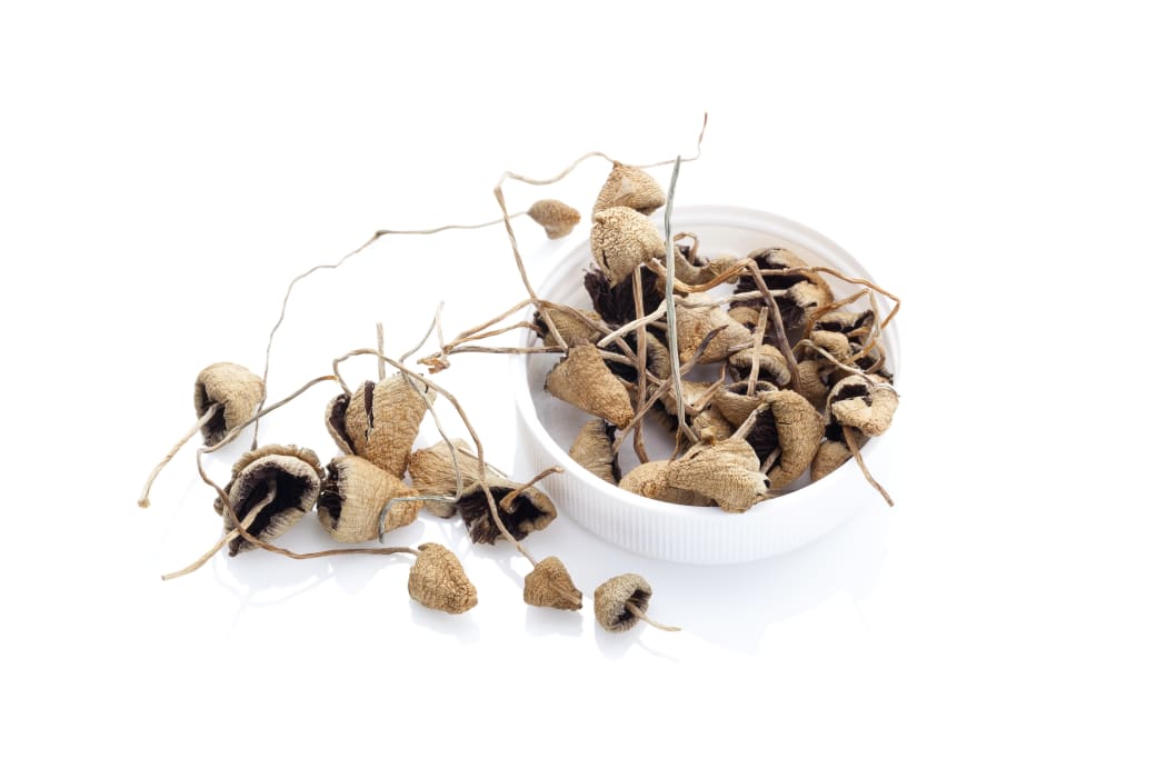 Dried Psylocibyn magic mushrooms in kit. Isolated on white background. Natural remedy.