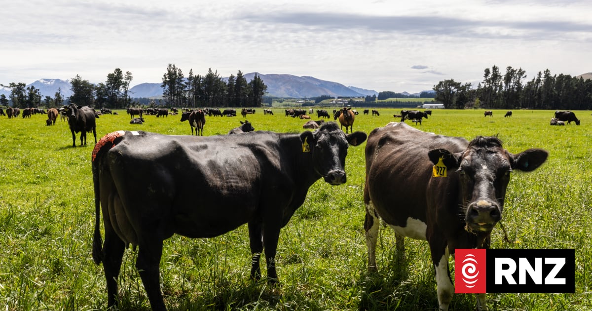 Landmark NZ study finds link between pre-natal exposure to nitrate in drinking water and premature births