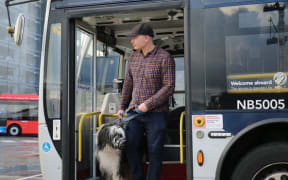 Large dogs on buses in Auckland
