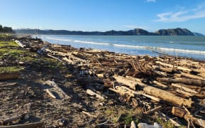 Slash carpets the beach at Tolaga Bay after Cyclone Gabrielle in 2023.