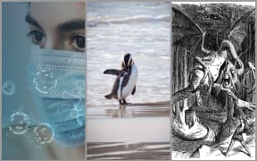 Flu, penguin, Jabberwocky