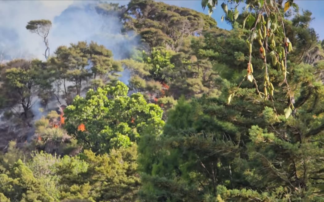 Fire crews are responding to a bush fire near Te Aute Ridge Road and Bethells road in Waitākere.