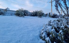 Snow in the hill suburbs of Dunedin, 2 July, 2023.