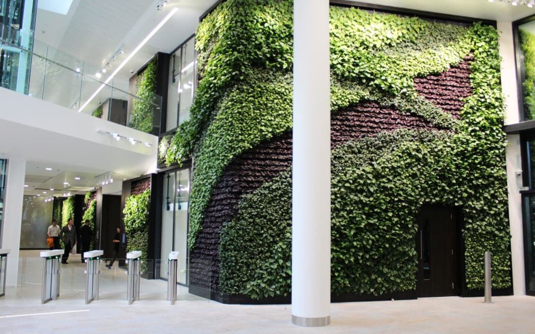 Living wall of plants in commercial interior